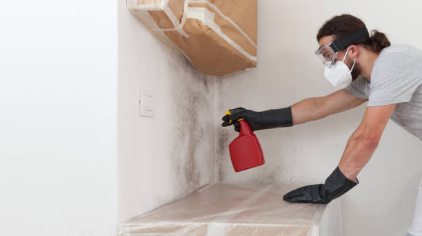 Professional Bathroom Mold Removal technician working in Horntown, VA